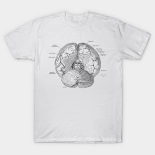 Human Body - Brain vol.2 T-Shirt